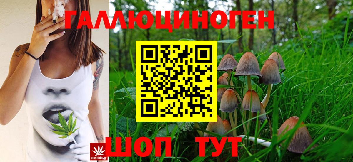 Галлюциногенные грибы MAGIC MUSHROOMS Апшеронск