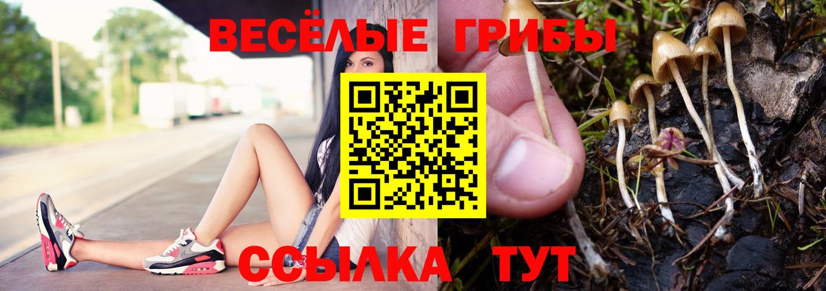 Апшеронск  Псилоцибиновые грибы Psilocybine cubensis  как найти наркотики  Вход с VPN 