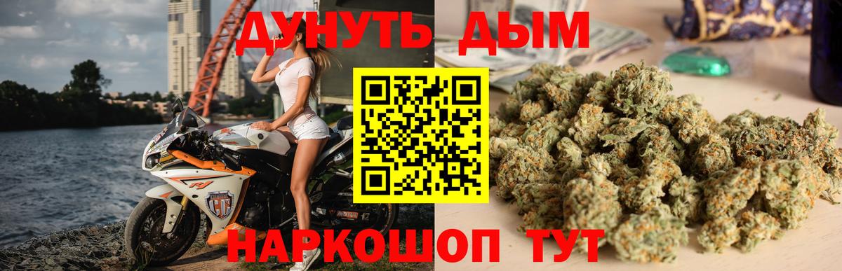 Канабис гибрид Апшеронск